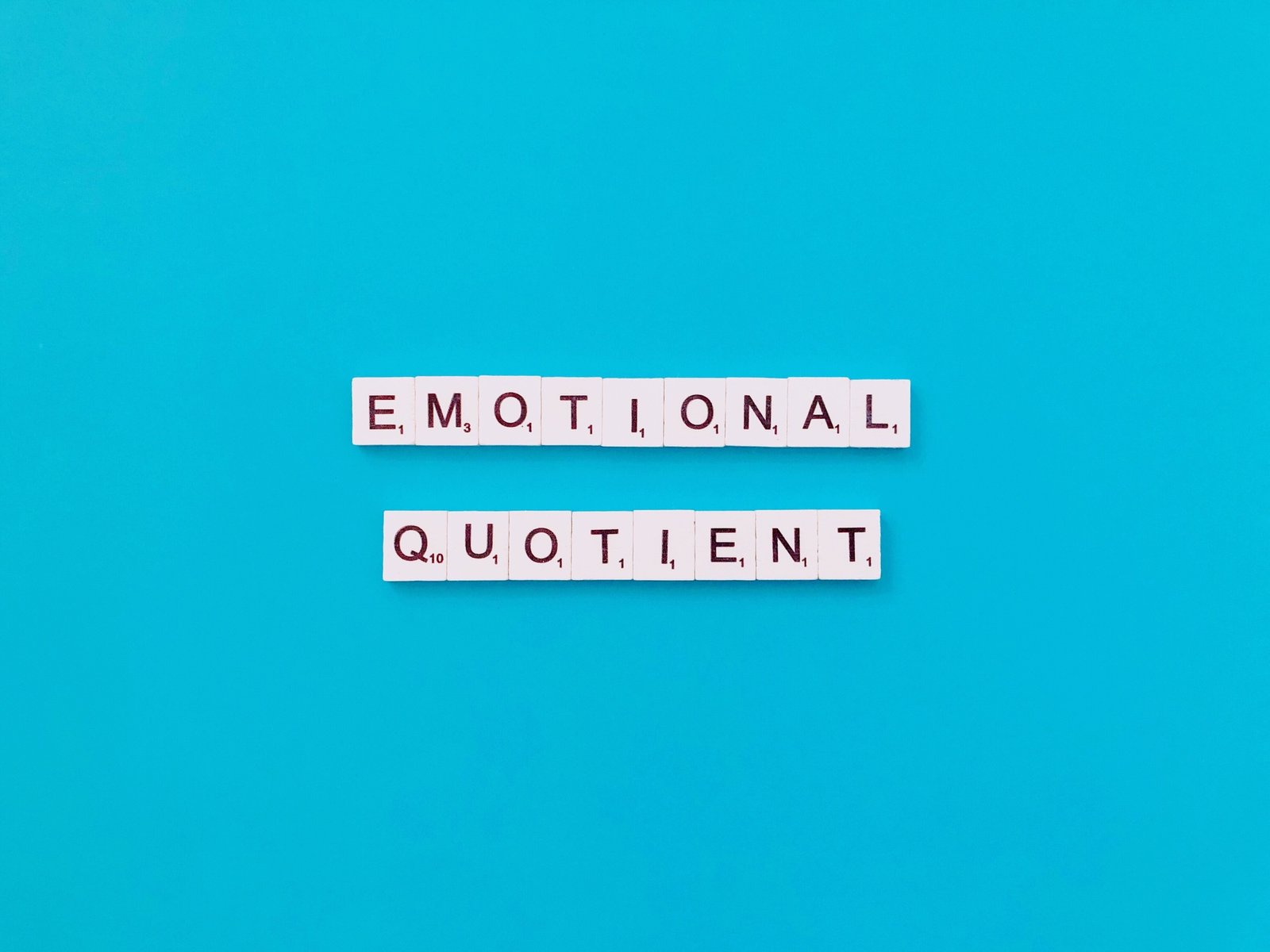 emotional quotient EQ